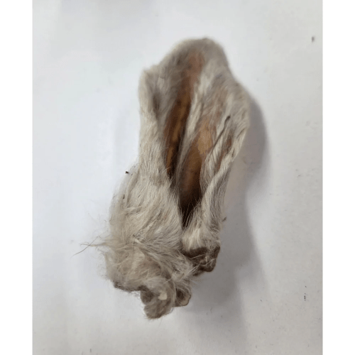 GVQPT LAMB EARS W/FUR BULK - Just Simcoe