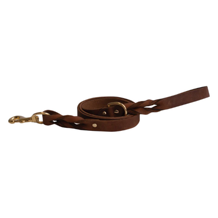 SHEDROW K9 BRISTOL LEASH TAN 5'X1"