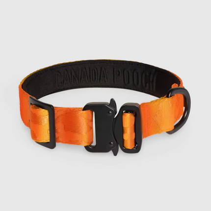 CAN POOCH UTILITY COLLAR ORANGE SM