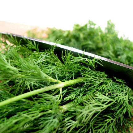 Dill Olive Oil - JustSimcoe.ca