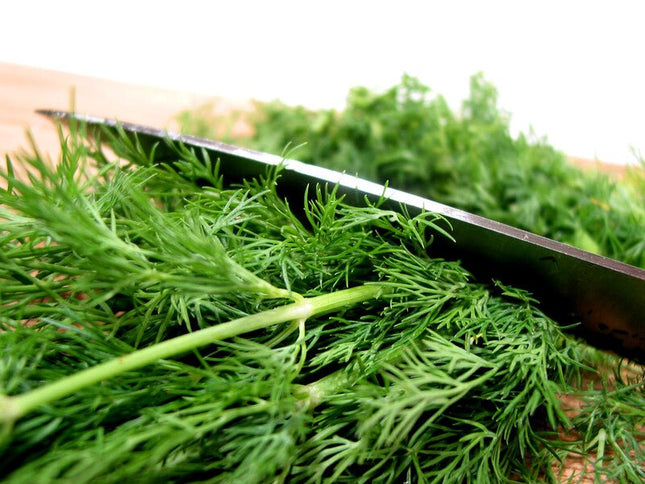 Dill Olive Oil - JustSimcoe.ca