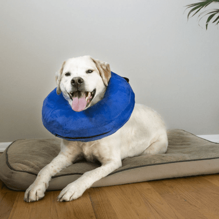 KONG CLOUD COLLAR XSM - Just Simcoe