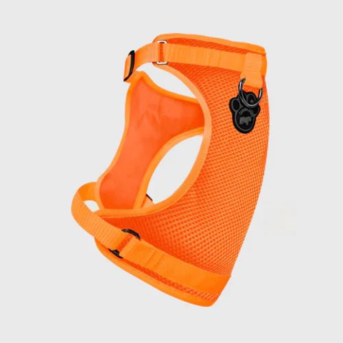 CAN POOCH EVERY HARNESS ORNG XLG - Just Simcoe