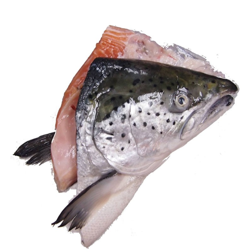 CONGO SALMON HEADS 3PC 3.5LB