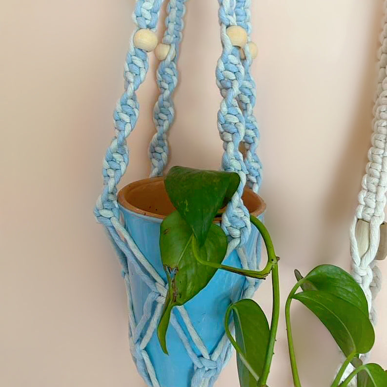 'It's a Vibe' Plant hangers