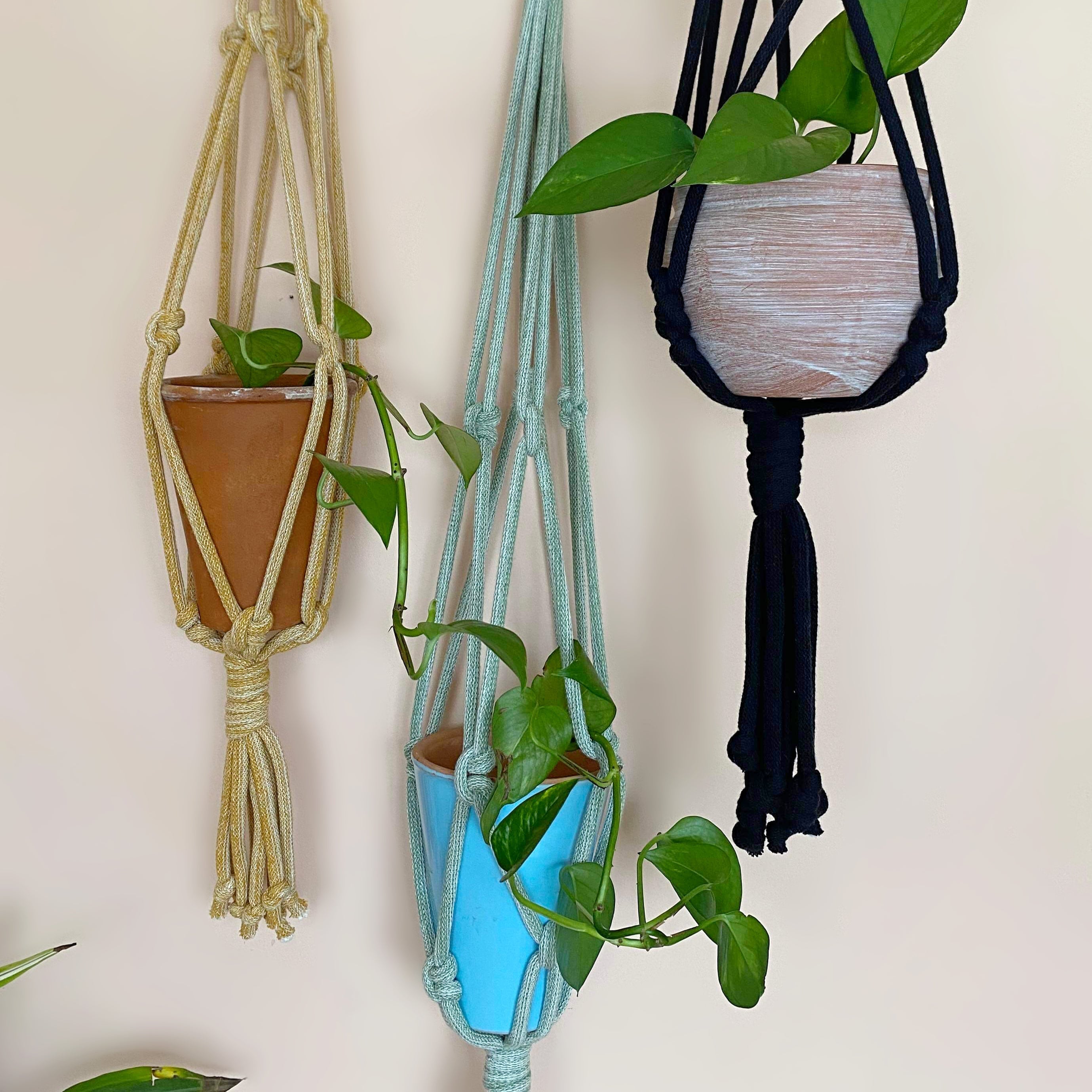Bohemian Babe Plant Hangers