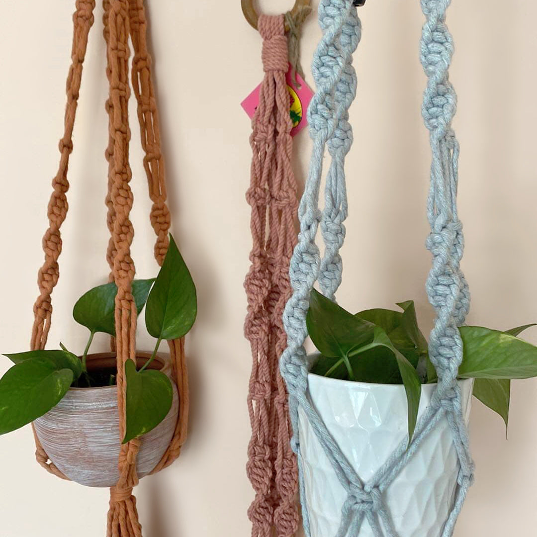 'Twisted Sister' Plant Hangers