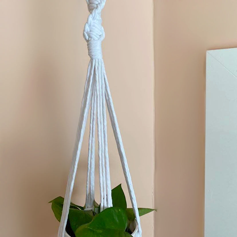 'Leaf it to Me' Plant Hangers