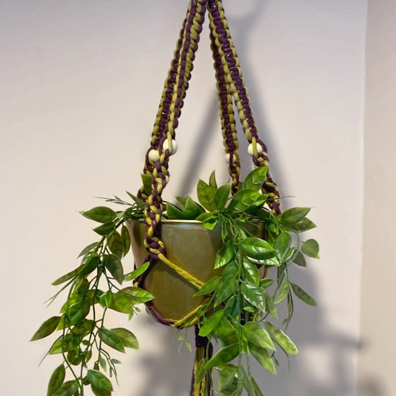 'Funky Town' Plant Hanger