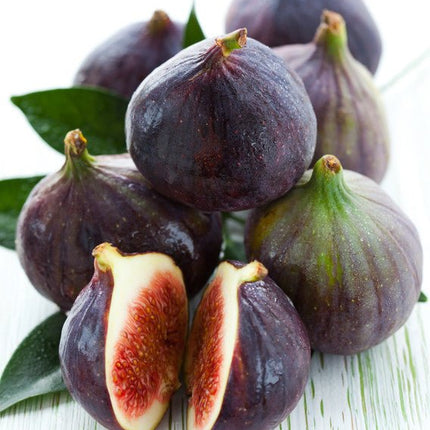 Italian Fig Dark Balsamic - JustSimcoe.ca