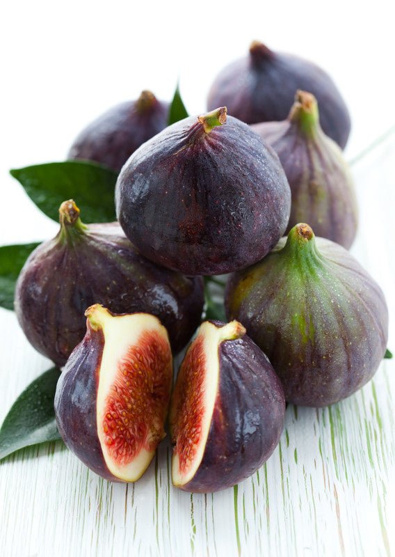 Italian Fig Dark Balsamic - JustSimcoe.ca