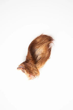 GVQPT BEEF EARS W/FUR SM BULK - Just Simcoe