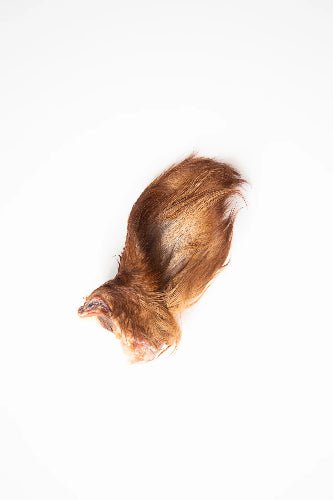 GVQPT BEEF EARS W/FUR SM BULK - Just Simcoe
