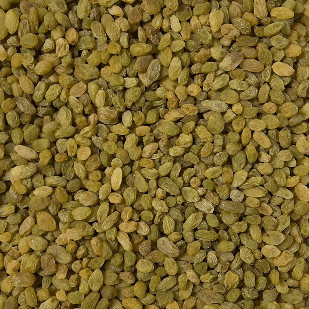 Green Raisin (Small)