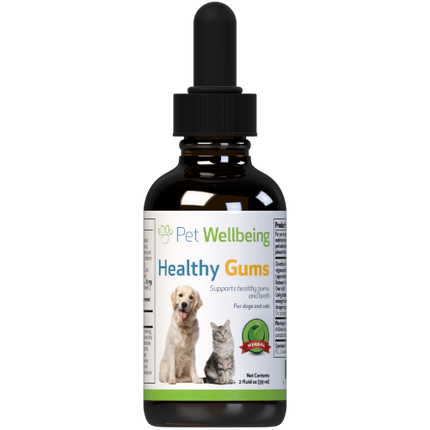 PET WELLBEING HEALTHY GUMS 2OZ