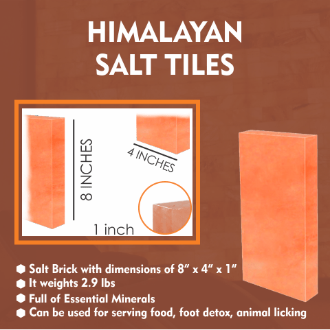 Himalayan Salt Tiles 8" x 4" x 1" - Pack 4