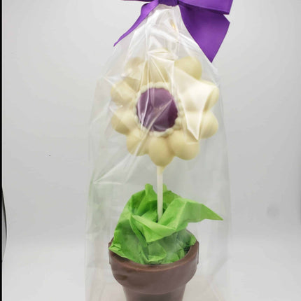 Potted Flower