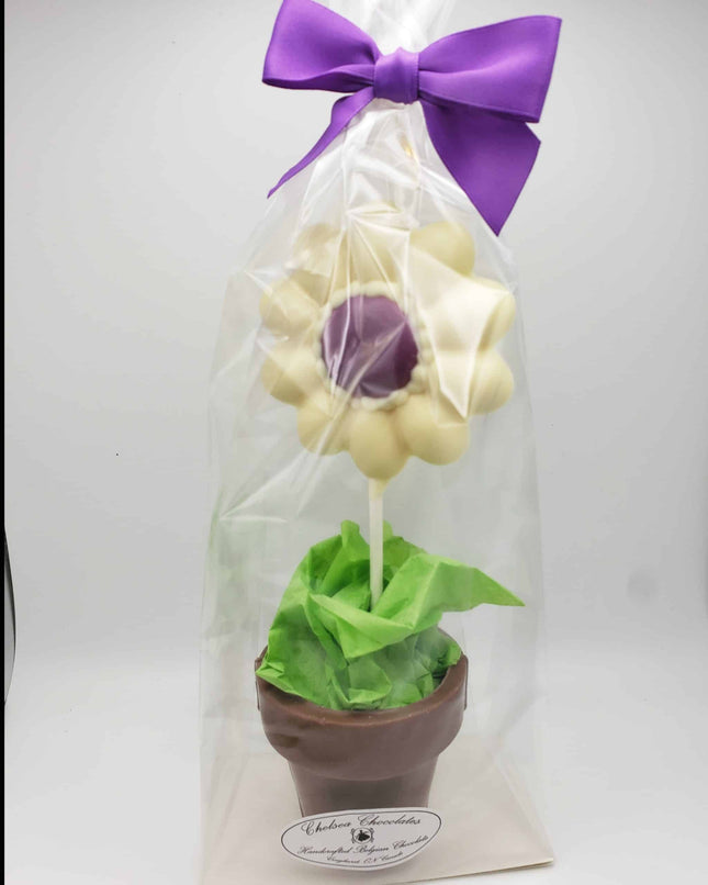 Potted Flower