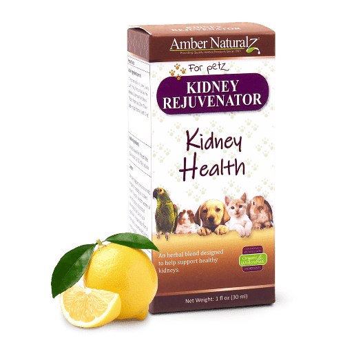 AMBER NAT KIDNEY REJUVENATOR 1OZ - Just Simcoe