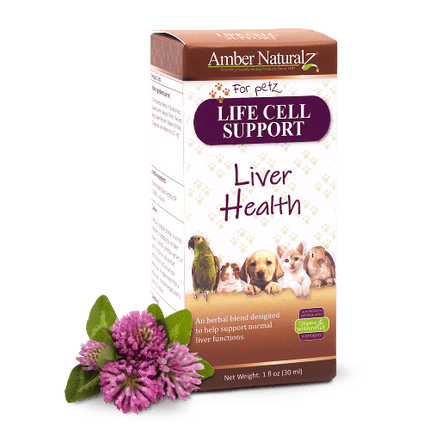 AMBER NAT LIFE CELL SUPPORT 1OZ - Just Simcoe