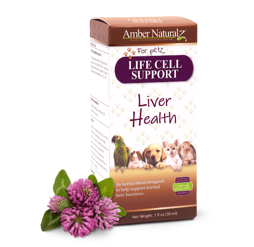 AMBER NAT LIFE CELL SUPPORT 1OZ - Just Simcoe