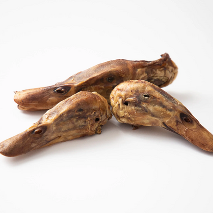 GVQPT DUCK HEADS BULK