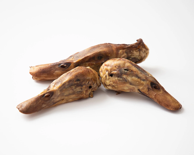 GVQPT DUCK HEADS BULK
