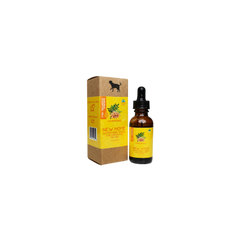 Collection image for: Aromatherapy