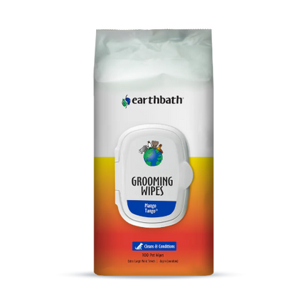 EB MANGO TANGO WIPES 100CT