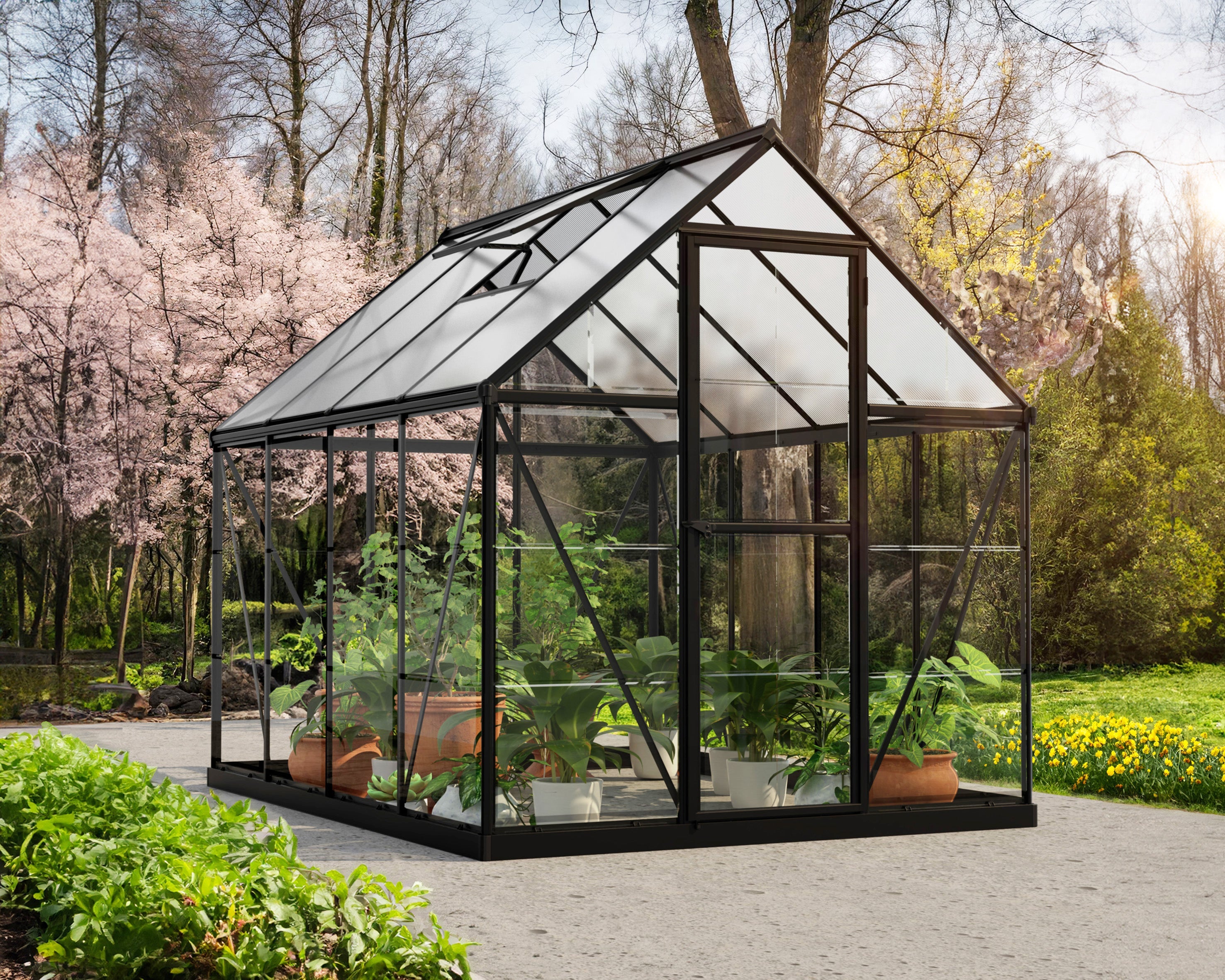 Hybrid™ 6 ft. x 8 ft. Greenhouse Clear & Twin Wall Panels Black Frame | Palram-Canopia