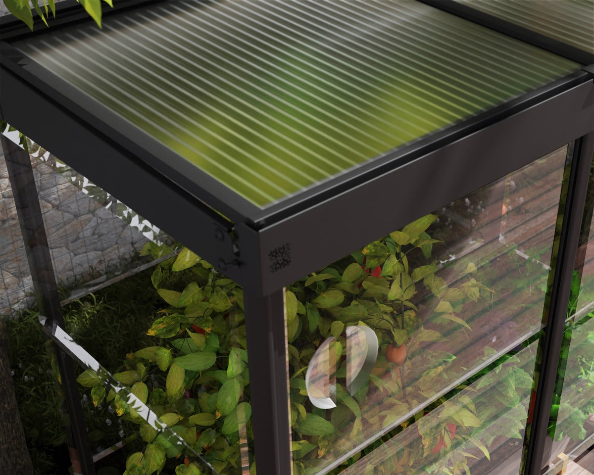 Ivy 4 ft. x 2 ft. Mini Greenhouse Kit - Black Structure & Clear Glazing