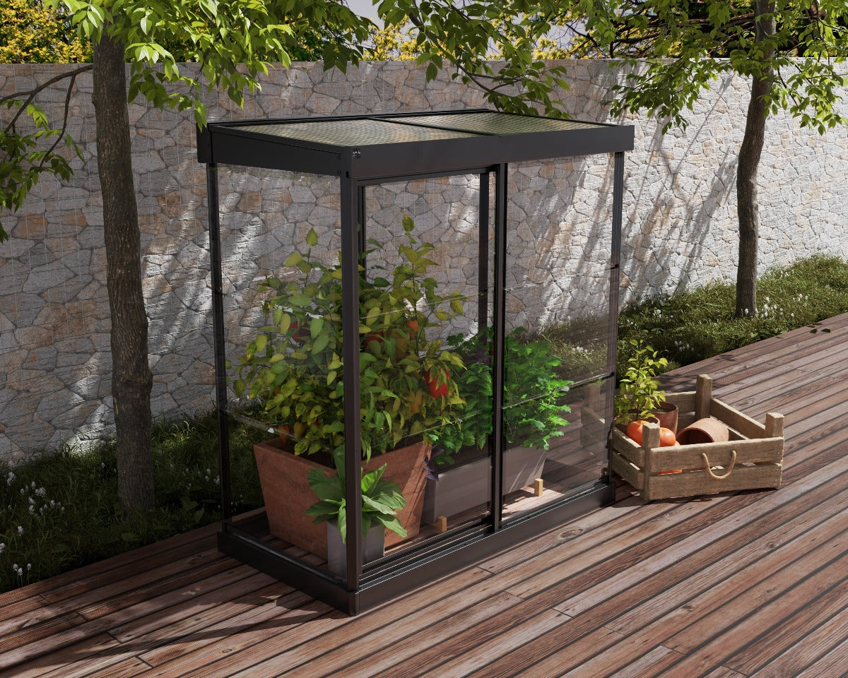 Ivy 4 ft. x 2 ft. Mini Greenhouse Kit - Black Structure & Clear Glazing