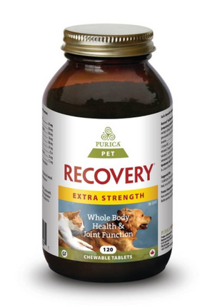 PURICA RECOVERY SA EXT STRENGTH 120CHEW