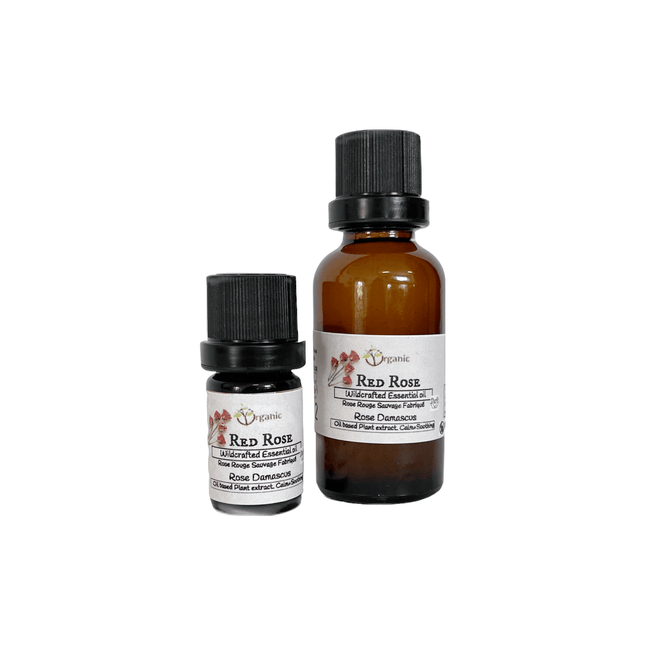 Rose Essential Oil - Wildcrafted.Ontario 5ml - Just Simcoe