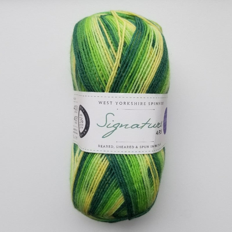 West Yorkshire Spinners Signature 4 Ply - 882 Spring Green (Winwick Mum Seasons Collection)