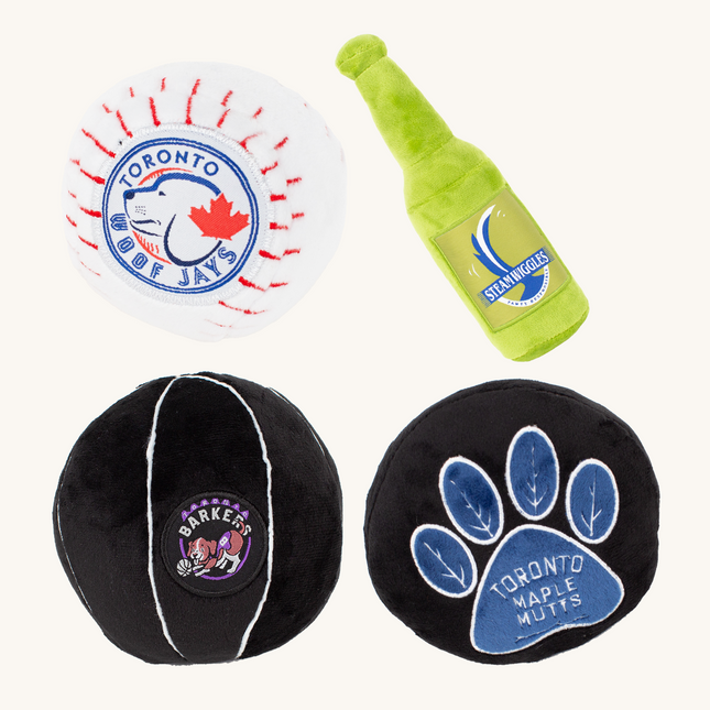 TORONTO -VS- EVERYBODY Pack Dog Toys