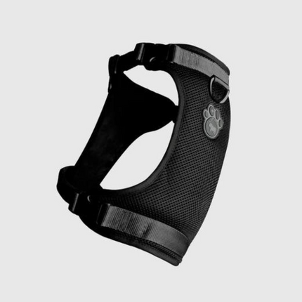 CAN POOCH EVERY HARNESS BLACK XLG