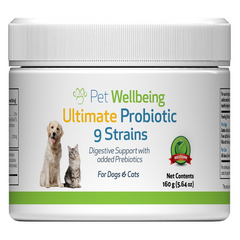 Collection image for: Probiotic & Digestive