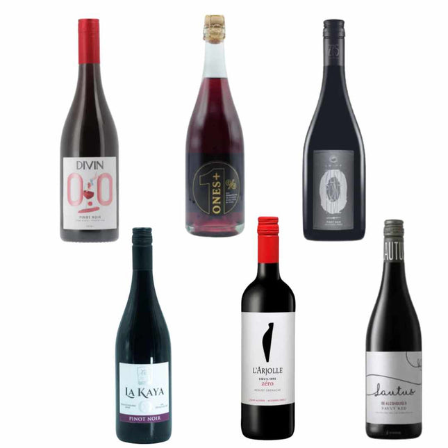 Sober Sampler | Non - Alcoholic Wine Sampler – Red Wine Variety 6 Pack - JustSimcoe.ca