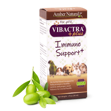 AMBER NAT VIBACTRA PLUS 1OZ - Just Simcoe