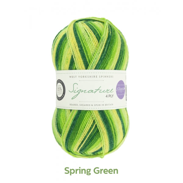 West Yorkshire Spinners Signature 4 Ply - 882 Spring Green (Winwick Mum Seasons Collection)