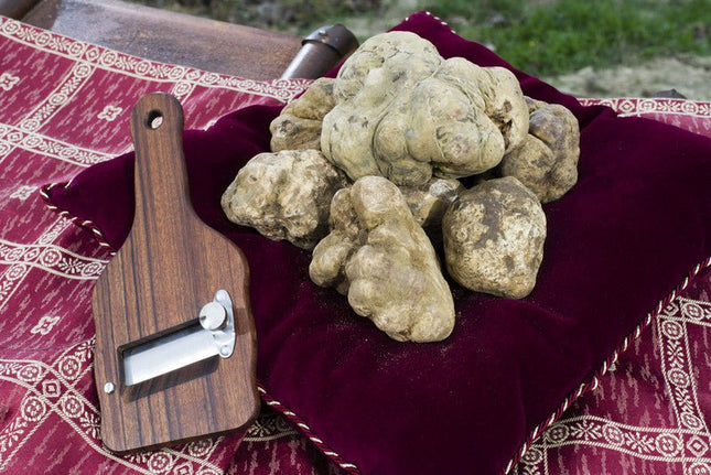 White Truffle Oil - JustSimcoe.ca