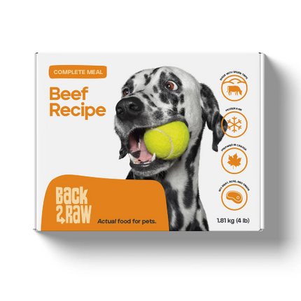 BACK2RAW BEEF RECIPE COMP 4X1LB