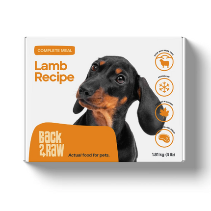 BACK2RAW LAMB RECIPE COMP 4X1LB