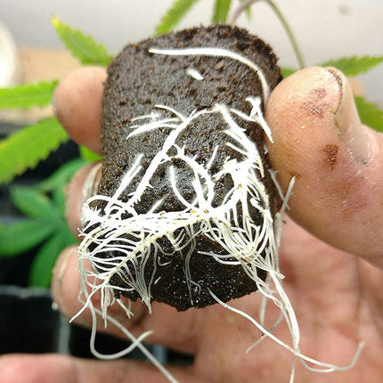 Bokashi Pro - Gro Fermented Fertilizer - Just Simcoe