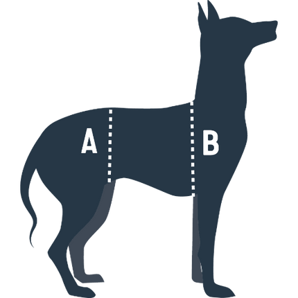 PETSAFE CARELIFT SUPPORT HARNESS LG - Just Simcoe