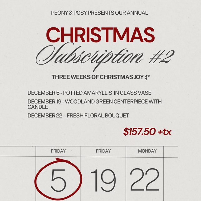 Peony & Posy - Christmas Subscription 2 - Just Simcoe
