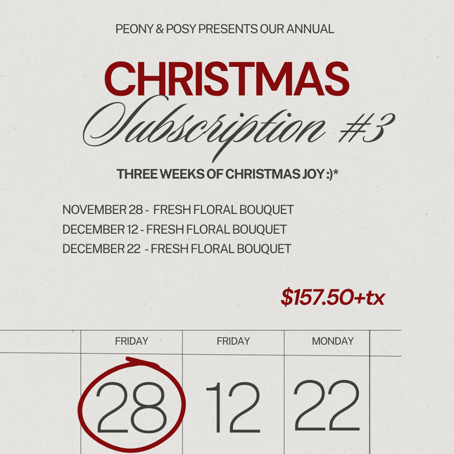 Peony & Posy - Christmas Subscription 3 - Just Simcoe