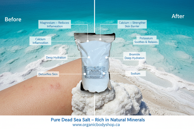 Dead Sea Salt Unscented | Mineral Bath Soak | 3lb | Organic Body Shop