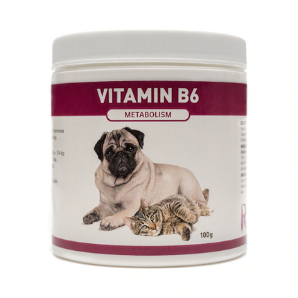 RIVAS REMEDIES VITAMIN B6 100G